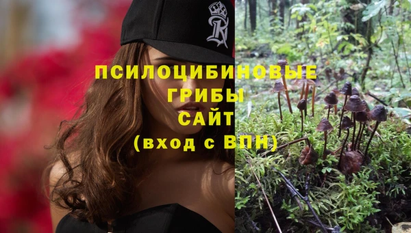 кристаллы Абаза